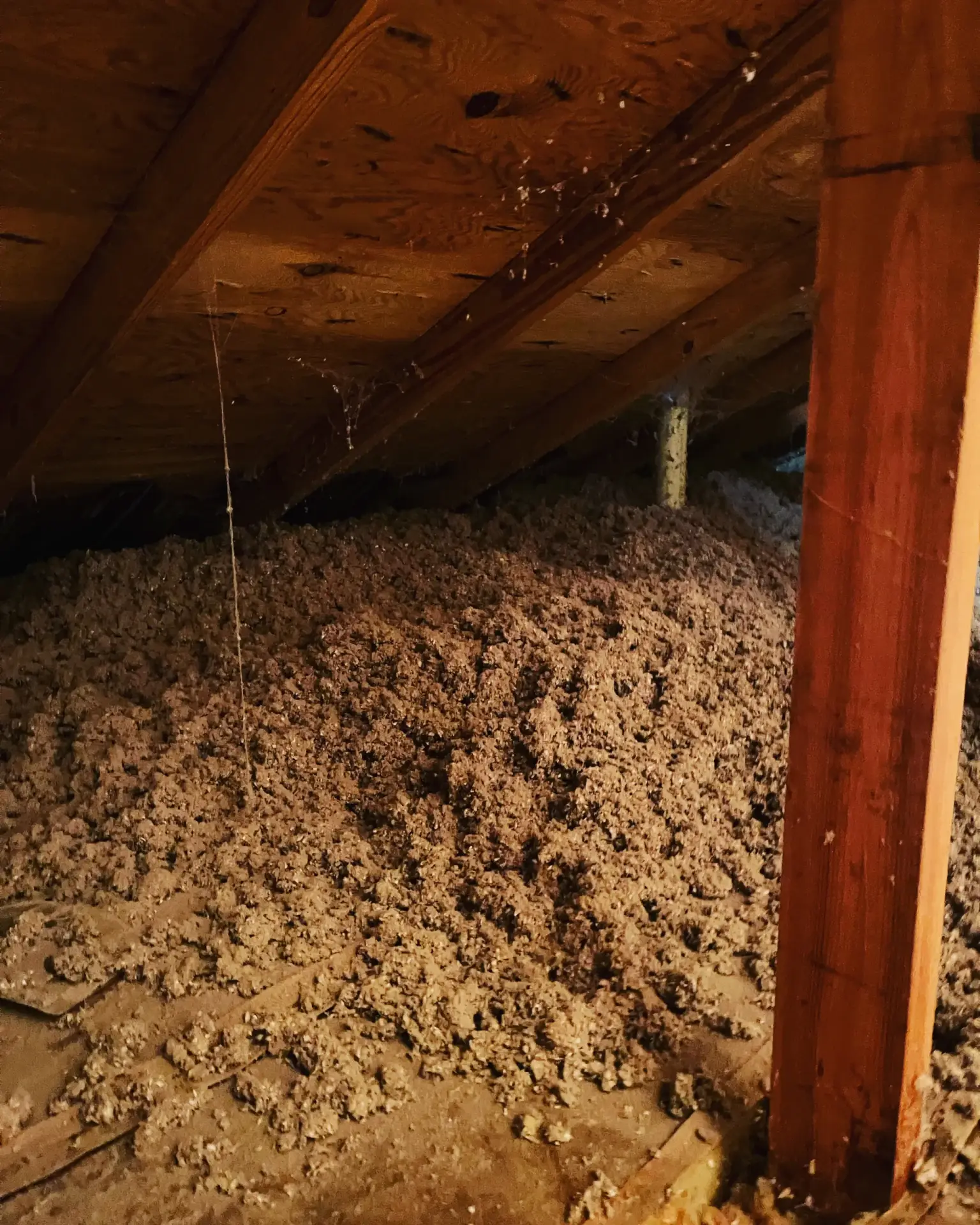 attic home insulation services near you