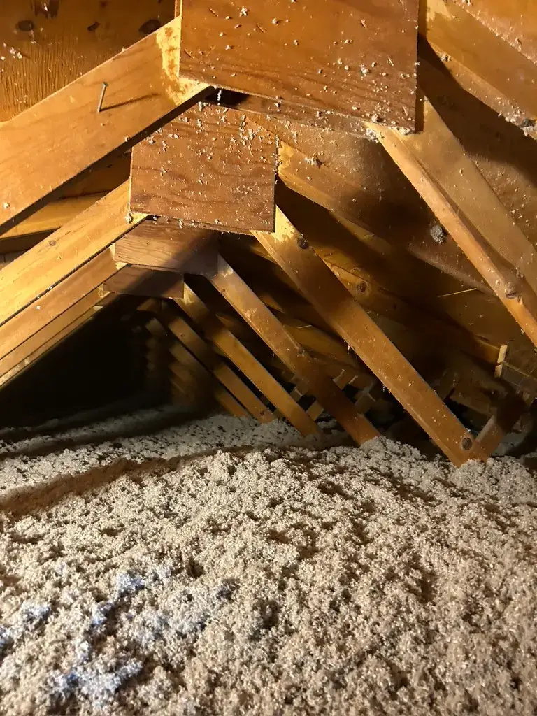 home attic insulation paw paw mi companies